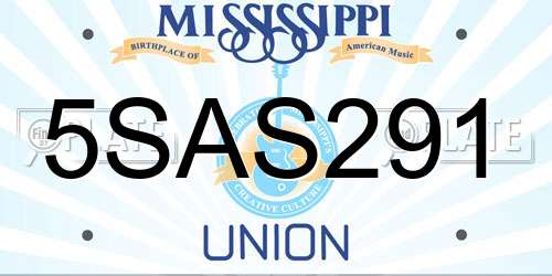 5SAS291 Mississippi License Plate