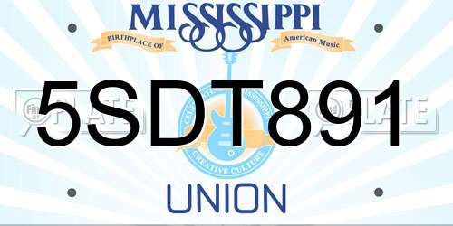 5SDT891 Mississippi License Plate