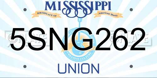 5SNG262 Mississippi License Plate