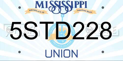 5STD228 Mississippi License Plate