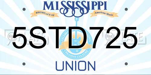 5STD725 Mississippi License Plate