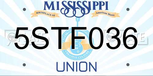 5STF036 Mississippi License Plate