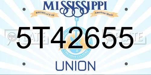 5T42655 Mississippi License Plate