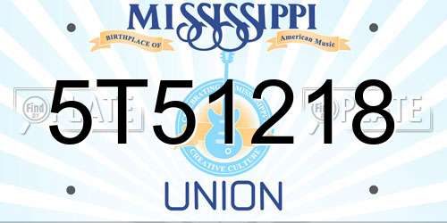 5T51218 Mississippi License Plate