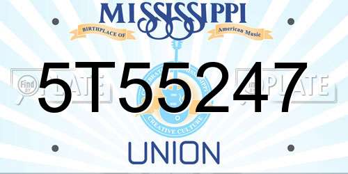 5T55247 Mississippi License Plate