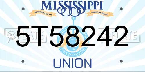 5T58242 Mississippi License Plate