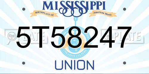 5T58247 Mississippi License Plate