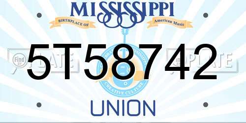5T58742 Mississippi License Plate