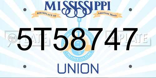 5T58747 Mississippi License Plate