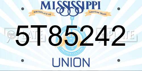 5T85242 Mississippi License Plate
