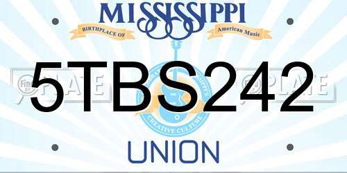 5TBS242 Mississippi License Plate