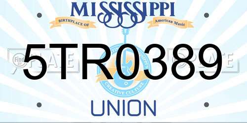 5TR0389 Mississippi License Plate
