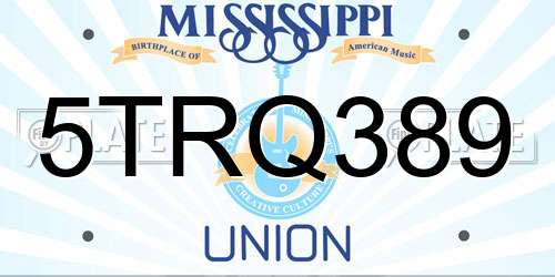 5TRQ389 Mississippi License Plate