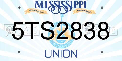 5TS2838 Mississippi License Plate