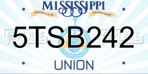 5TSB242 Mississippi License Plate