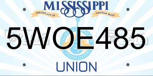 5WOE485 Mississippi License Plate