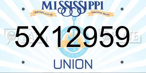 5X12959 Mississippi License Plate