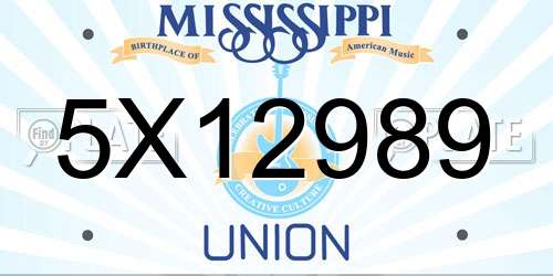 5X12989 Mississippi License Plate
