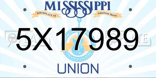 5X17989 Mississippi License Plate