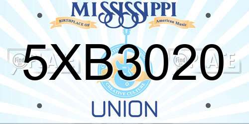 5XB3020 Mississippi License Plate