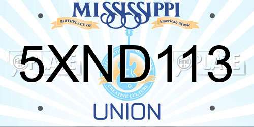 5XND113 Mississippi License Plate