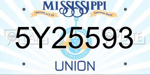 5Y25593 Mississippi License Plate