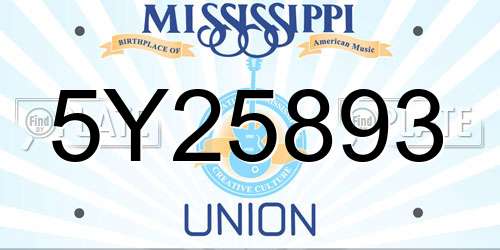 5Y25893 Mississippi License Plate