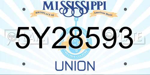 5Y28593 Mississippi License Plate