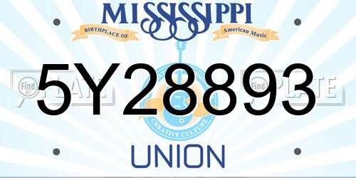 5Y28893 Mississippi License Plate