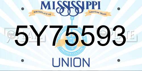 5Y75593 Mississippi License Plate