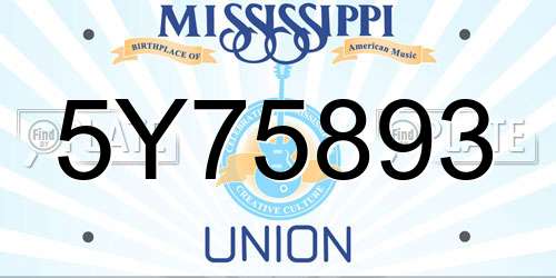 5Y75893 Mississippi License Plate