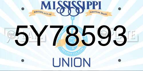 5Y78593 Mississippi License Plate