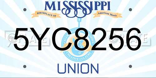 5YC8256 Mississippi License Plate