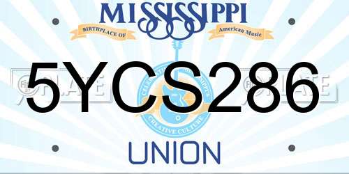 5YCS286 Mississippi License Plate