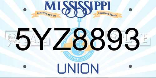 5YZ8893 Mississippi License Plate
