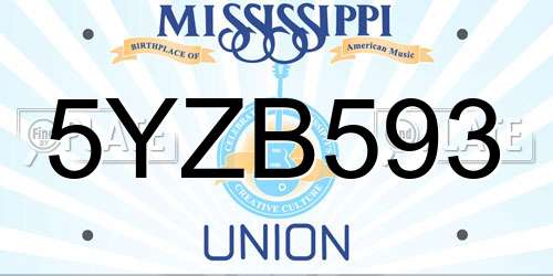5YZB593 Mississippi License Plate