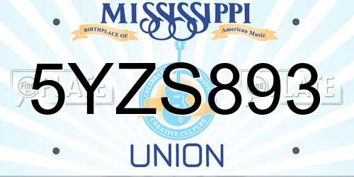 5YZS893 Mississippi License Plate