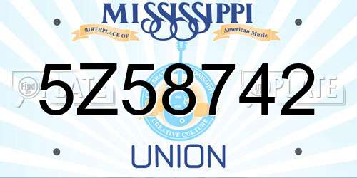 5Z58742 Mississippi License Plate