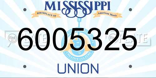 6005325 Mississippi License Plate