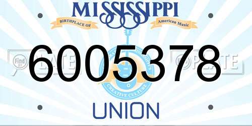 6005378 Mississippi License Plate