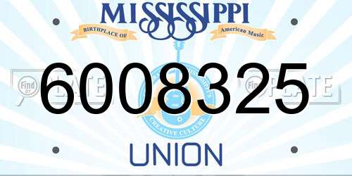 6008325 Mississippi License Plate