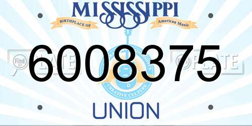 6008375 Mississippi License Plate