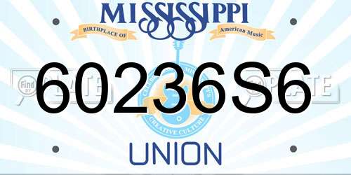 60236S6 Mississippi License Plate