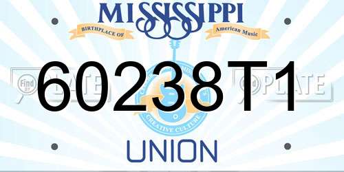 60238T1 Mississippi License Plate