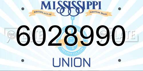 6028990 Mississippi License Plate