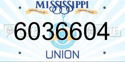 6036604 Mississippi License Plate