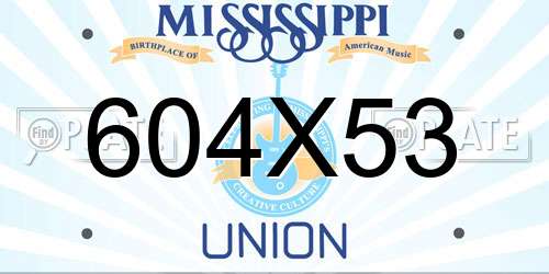 604X53 Mississippi License Plate