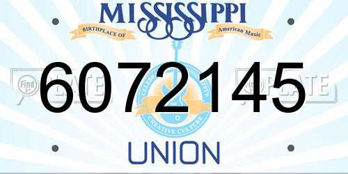 6072145 Mississippi License Plate