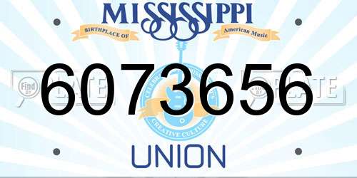 6073656 Mississippi License Plate
