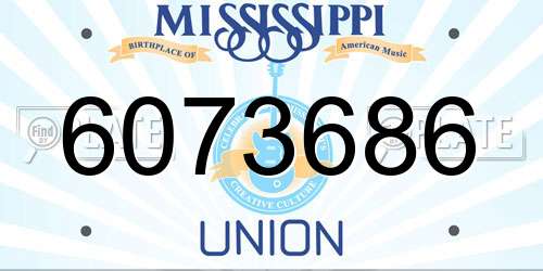 6073686 Mississippi License Plate